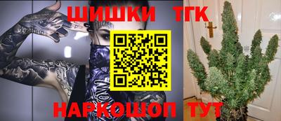 тгк Сланцы