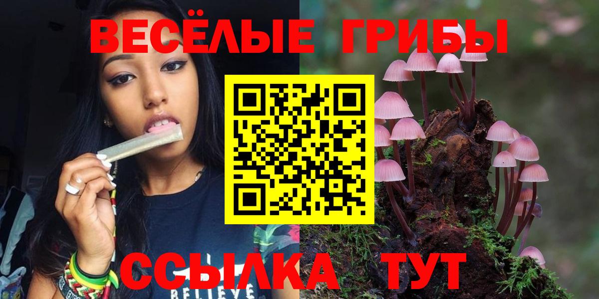 Омск  Псилоцибиновые грибы мухоморы  Псилоцибиновые грибы Magic Shrooms  Вход с VPN 
